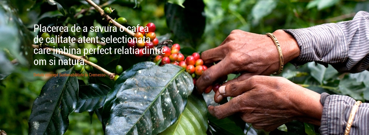 Placerea de a savura o cafea